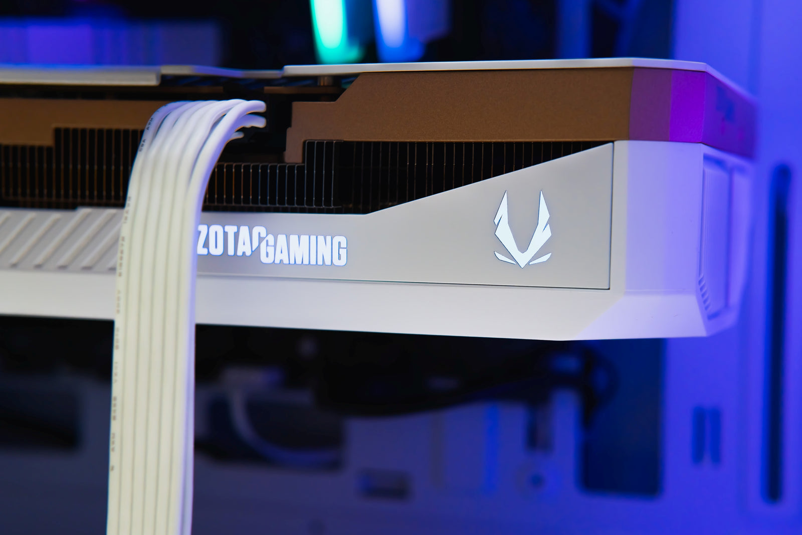 M1 Flow - Intel Arctic - Nvidia RTX 5080 16GB GDDR7